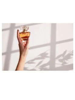 Mary Kay Illuminea™ Extrait De Parfum -GlowUp Cosmetics mary kay illuminea hand window